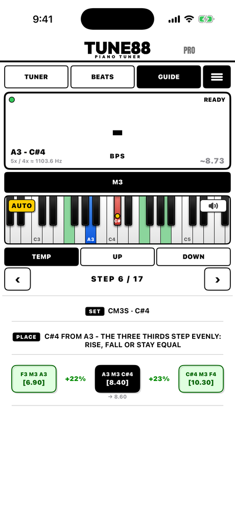 Guided tuning at step 6 of 17, setting contiguous thirds